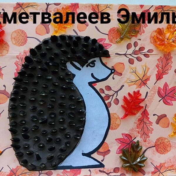 Ахметвалеев Эмиль