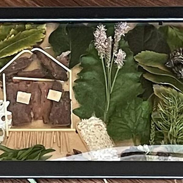 Александрова София