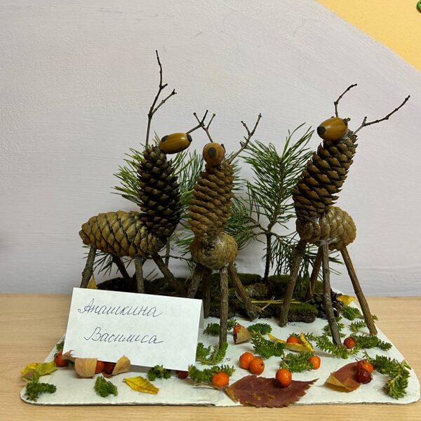 Анашкина Василиса