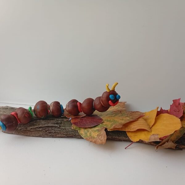 Бакаев Александр