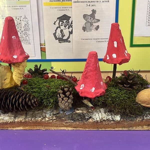 Борченко Анастасия