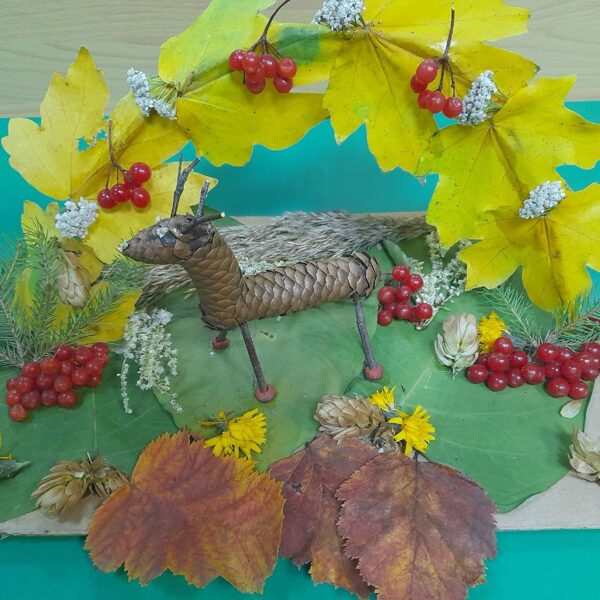 Ботезату Вероника