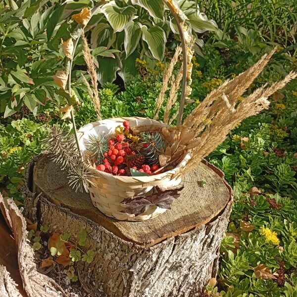 Челидзе Майя