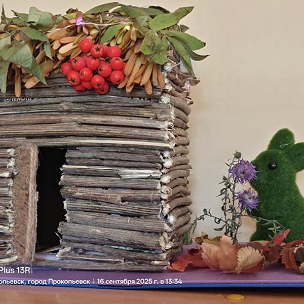 Чупина Юлия