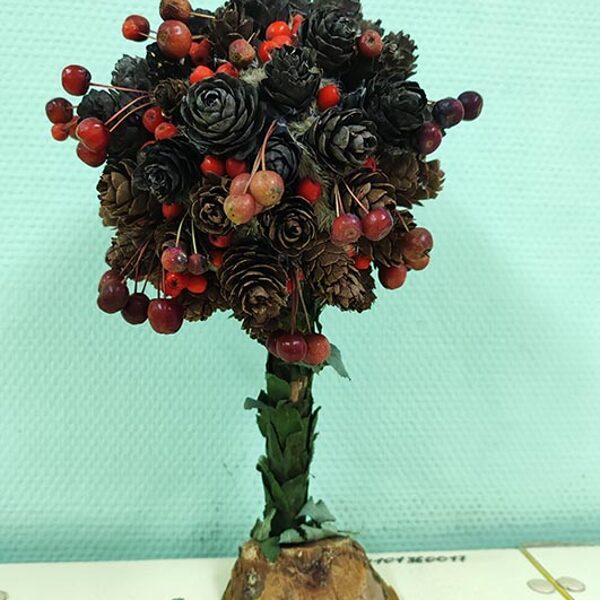 Гальцев Тимофей