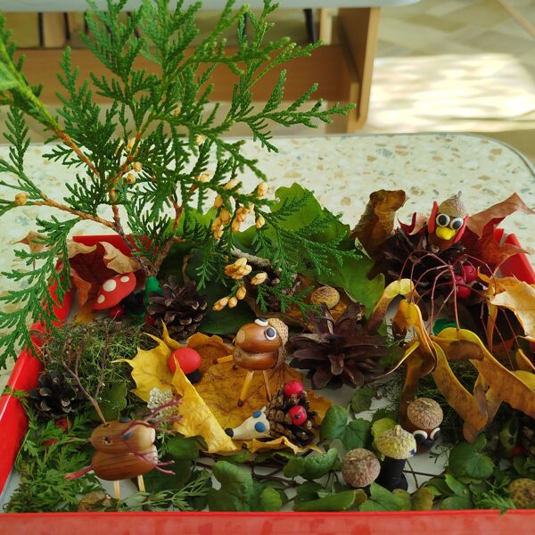 Горшкова Василиса