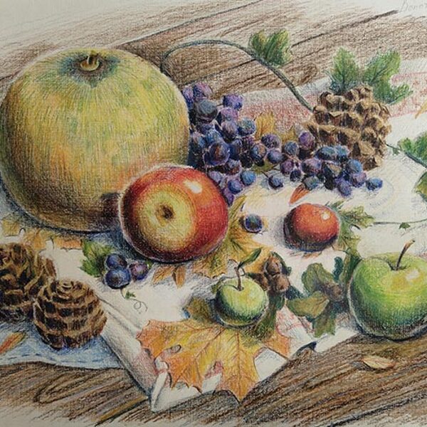 Копотилкина Анна