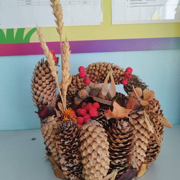 Кулаева Анастасия