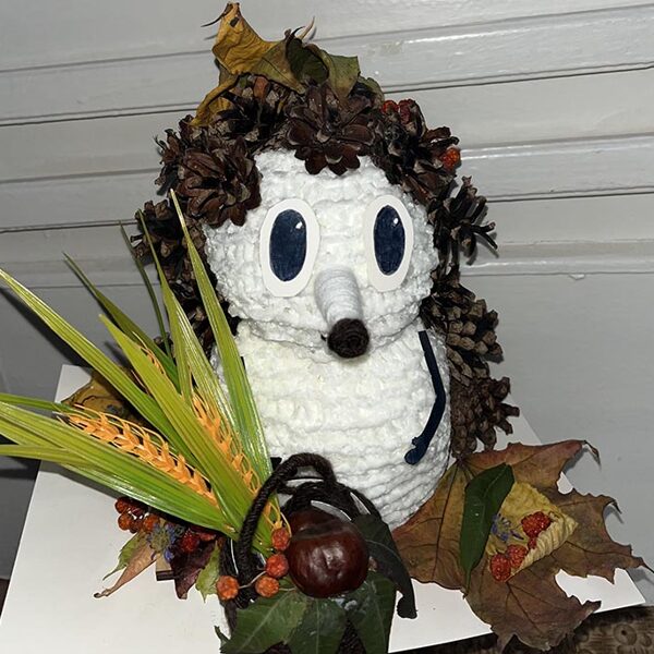 Мирошникова Анна