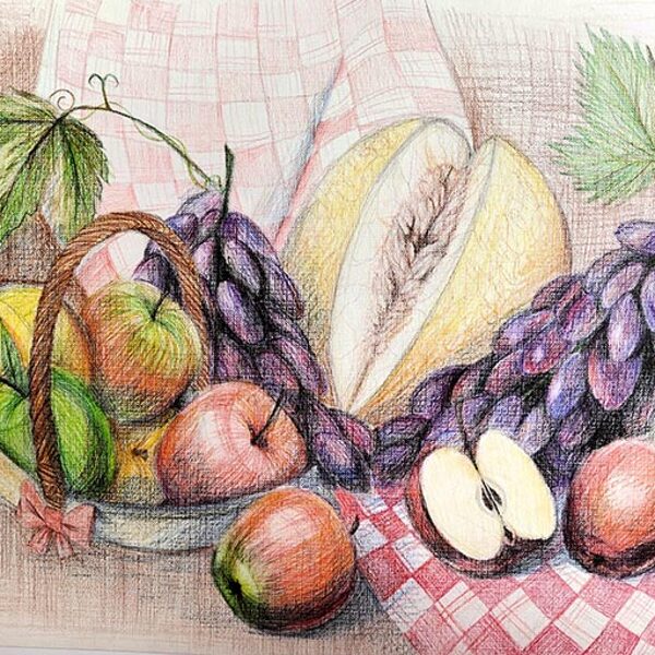 Никитина Софья