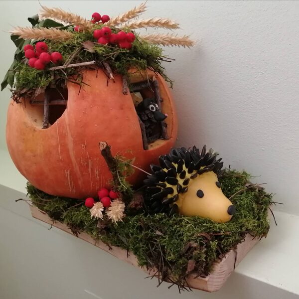 Низамова Диана