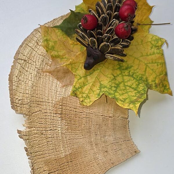 Ноздреватых Мария