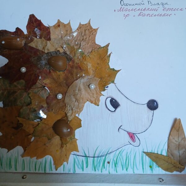 Осокина Владислава