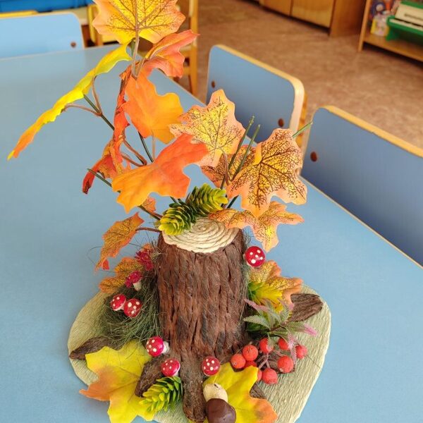 Радионова Алина