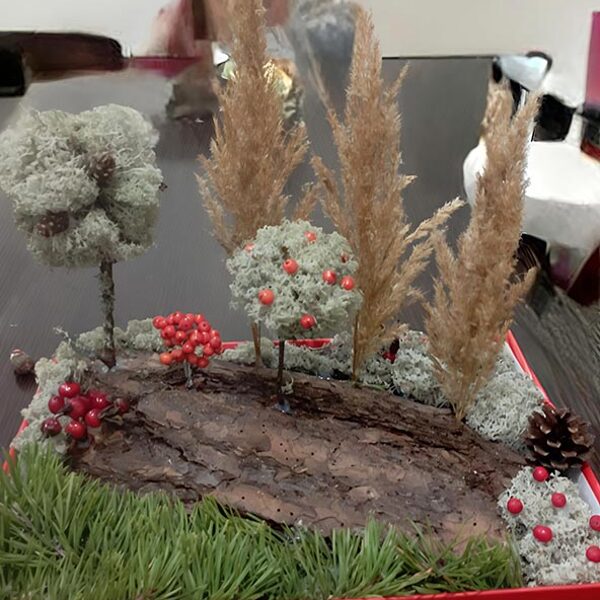 Ревуцкий Даниил