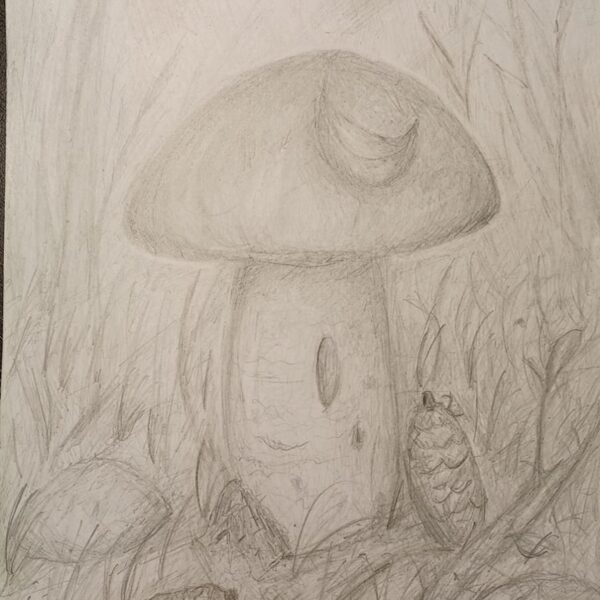 Шишкина Полина