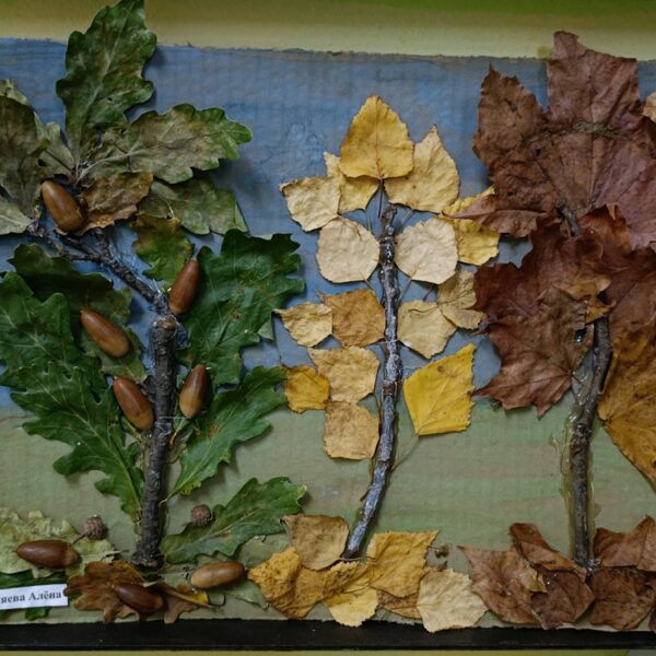 Шкляева Алена 