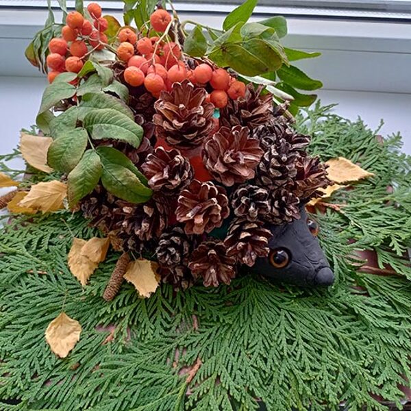 Смирнов Демид 