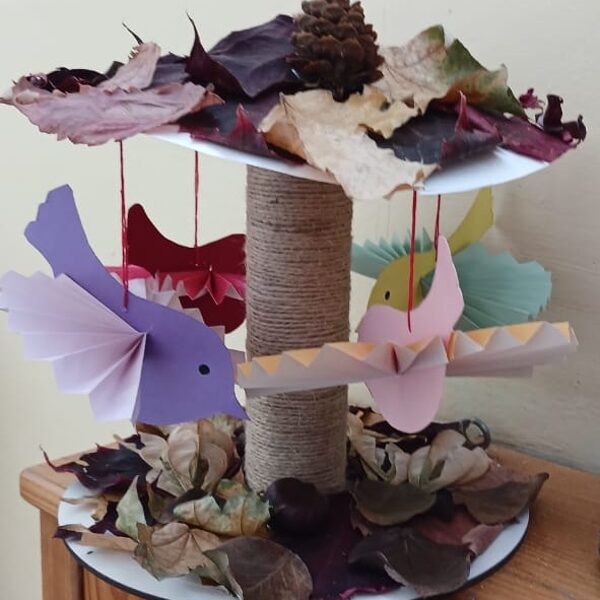 Степанюк Тимофей