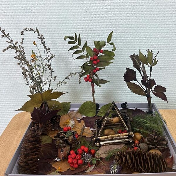 Синюков Тимофей