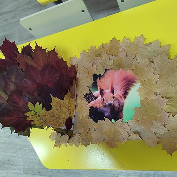 Султанбекова Анастасия