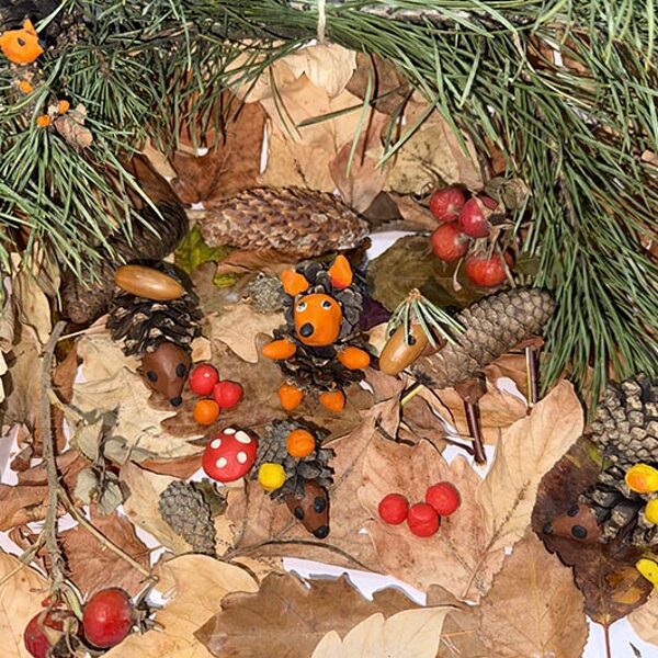 Забелин Тимофей