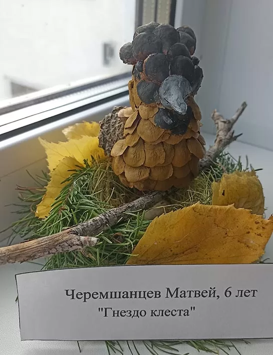Черемшанцев Матвей